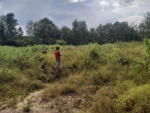 ĐẤT NGỘP NGÂN HÀNG BÁN GẤP 5,6 XÀO LỘC AN- LONG THÀNH-ĐỒNG NAI