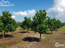 BÁN ĐẤT XÀO HUNG THỊNH TRẢNG BOM SỔ RIÊNG