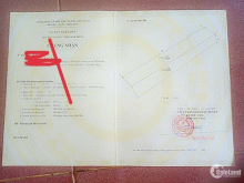 4ha rẫy sầu riêng cực thơm Tuy Đức, Đắk Nông cần sang sổ