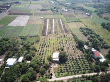 Bán gấp nhà vườn 1.5ha, sổ hồng riêng xã Xuân Phú, huyện Xuân Lộc, tỉnh Đồng Nai