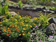 Tận Hưởng Không Khí Trong Lành & Căn Nhà Hạnh Phúc Chỉ Từ 868 Triệu/Nền Thổ Cư