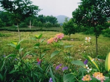 Đất trang trại x.Bắc Sơn Sóc Sơn,7500m2 đg ôtô, giá 4.1tỷ #SSB89