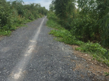 1.000m2 đất vườn (ngang 26m dài 40m) đường ô tô huyện Bến Lức, Long An SHR 470tr