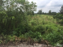 913m2 đất vườn (ngang 12,5m dài 73m) MT Rạch Cây Gia, huyện Bến Lức tỉnh Long An