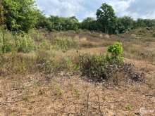 Đất xã suối cao xuân lộc đồng nai 5551m2 Cách ubnd xã 2km