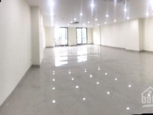 cần cho thuê mặt tiền trương công định (vip), trung tâm tp vũng tàu