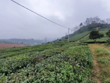 Đất hồ sinh thái Bắc Sơn, Sóc Sơn, đường ô tô, giá hấp dẫn.