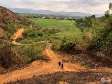 Gia đình muốn bán gấp đất đồi triền ở thị trấn Đạ Teh, Lâm Đồng