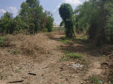 BAN DAT NEN XA LONG PHUOC HUYEN LONG THANH DONG NAI