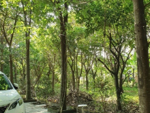 Bán biệt thự sinh thái tặng vườn trái cây đã cho thu hoạch huyện Vĩnh Cửu ĐNai