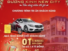 Đất nền dự án Dương Kinh New city Hải Phòng