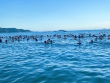 Chung cư ct5 vđt. Cần tìm khách có nhu cầu thuê lau dài