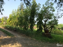 Cần bán đất 5429m2, Tiên Phong, Ba Vì, Hà Nội. Liên hệ Thu Hương: 0975349726