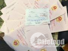 Đất nền sổ đỏ - pháp lý rõ ràng
