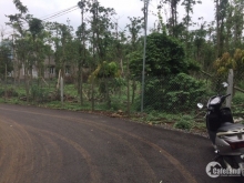 cần bán 3000m2 đất mặt tiền đường nhựa, tại kim long, huyện châu đức.