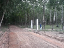 Cần bán 1000m2 đất chính chủ Định An Dầu Tiếng Bình Dương