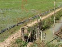 Bán lỗ đất chính chủ Tân Tây Gò Công đất đẹp gd nhanh