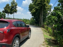 Bán Vườn bưởi Bình Lợi, Vĩnh Cữu, 2300m sổ riêng, giá chỉ 5ty8