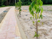 BÁN GẤP LÔ ĐẤT VỊ TRÍ TRUNG TÂM GIÁ RẺ SỔ SẴN TẠI CHƠN THÀNH