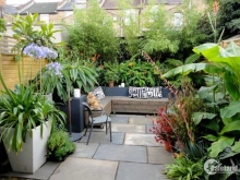 BÁN LÔ ĐẤT GIÁ MỀM THÍCH HỢP XÂY DỰNG BIỆT THỰ SÂN VƯỜN TẠI DƯƠNG KINH.