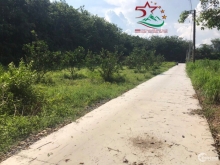 Cần bán đất gần Khu Công Nghiệp Phước Đông - Gò Dầu - Tây Ninh