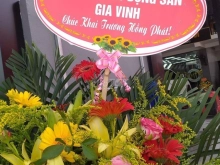 Cần nhượng lại lô đất vị trí đẹp tại khu đô thị Đồng Văn Xanh đường Phạm Ngọcnhi