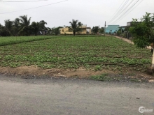 Bán đất tại ấp bờ kinh xã tân đông, huyện gò công đông, tỉnh tiền giang