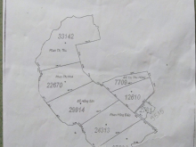 Muốn sang lại 17ha đất cây lâu năm cạnh Sông Ray, Xuyên mộc giá rẻ bèo bọt.