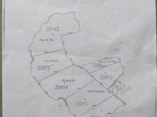 Muốn sang lại 17ha đất cây lâu năm cạnh Sông Ray, Xuyên mộc giá rẻ bèo bọt.