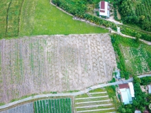 Làm ăn thua lỗ ra đi gấp đất Gò Dầu Tây Ninh