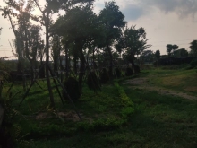 Bán đất bần bên em đang có 1 lô vị trí đẹp giá cả hợp lý