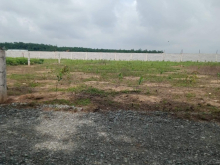 Đất Bình Dương diện tích 100m2 thổ cư 100% giá 485tr trọn gói