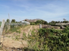 Đất nông nghiệp hẻm 29 Trường Chinh