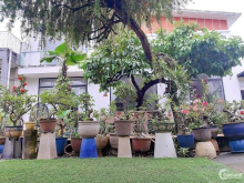 Bán biệt thự quận Gò Vấp - 19 tỷ/378m² (25x15) (chỉ 50 triệu/m²)