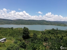 Đất trồng cây lâu năm. View sông Đồng Nai