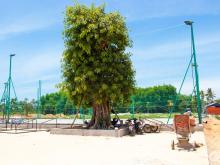 Chính chủ cần bán mặt tiền Nguyễn Công Phương