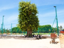 Chính chủ cần bán mặt tiền Nguyễn Công Phương