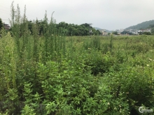 Chuyển nhượng lô đất công nghiệp 4000m2 ngay cạnh KCN Tiên Sơn, mặt đường  nhựa