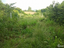 5.3x32m thổ cư 142m đường đá 5m, Trung An,Củ Chi