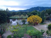 Bán đât vườn diện tích lớn thuận tiện làm nhà xưởng hoặc lập dự án