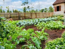 Đất Củ Chi Biệt Thự Vườn Tráng Lệ 500m2 Gía 850Tr Có Sổ Hồng Riêng