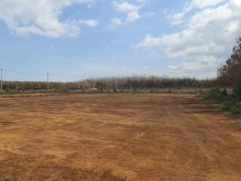 Đất nền thị trấn Phú Hòa tâm điểm đầu tư thịnh vượng dịp cuối năm