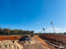 Đất nền dự án khu công nghiệp nam Pleiku giá gốc từ chủ đầu tư