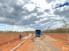 Bán đất liền kề hồ ia ring, khu công nghiệp nam pleiku giá rẻ tri ân khách hàng