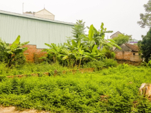 Siêu phẩm – Bán đất nằm tại vị trí đẹp ngay Đại lộ Thăng Long – Bất động sản Quố