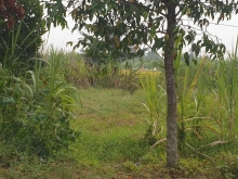 Bán 500m2 thổ cư nhơn thạnh trung nhựa 9m gần ngã 3