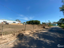 Cho thuê đất tại Thủ Dầu Một. Diện tích 5000m2. Đường nhựa xe container