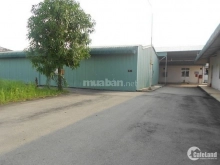 Chính Chủ Cho Thuê Kho Giá Rẻ 3 triệu, 50 m2