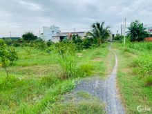 Bán gấp vườn bưởi củ chi 1400m2 giá rẻ 2ty403 sổ riêng