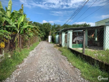 COVID kẹt tiền cần bán gấp lô đất gần trường tiểu học Cây Da, Hiệp Thạnh, Gò Dầu